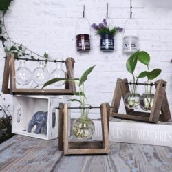 Alternative view of Rustic Bulb Planter Terrarium with Wooden Stand