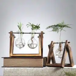 Rustic Bulb Planter Terrarium with Wooden Stand - Image 3