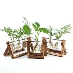 Rustic Bulb Planter Terrarium with Wooden Stand - Image 8
