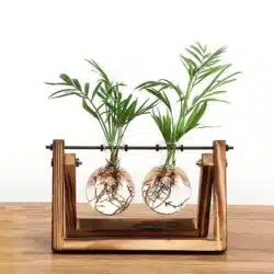 Rustic Bulb Planter Terrarium with Wooden Stand - Image 9