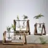Rustic Bulb Planter Terrarium with Wooden Stand