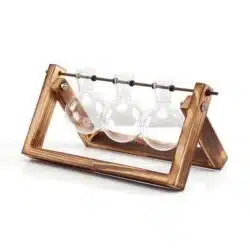 Rustic Bulb Planter Terrarium with Wooden Stand - Image 10
