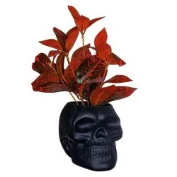Skull Stationery Makeup Brush Holder Plant Pot
