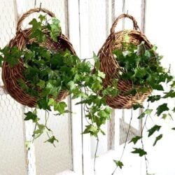 Alternative view of Woven Hanging Planter Wicker Basket