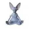 Gray Sphynx