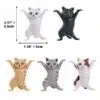 5 Colored Cats