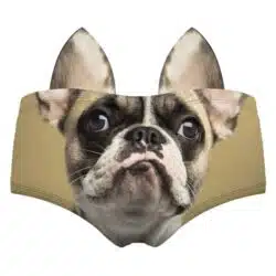 Realistic Animal 3D Ears Hipster Panties - Image 14