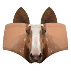 Realistic Animal 3D Ears Hipster Panties - Image 13