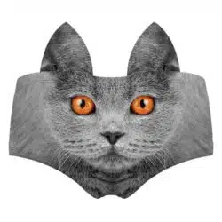 Realistic Animal 3D Ears Hipster Panties - Image 24