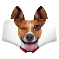 Realistic Animal 3D Ears Hipster Panties - Image 28