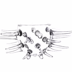 Alternative view of Sea Urchin Shaped Cocktail Glass